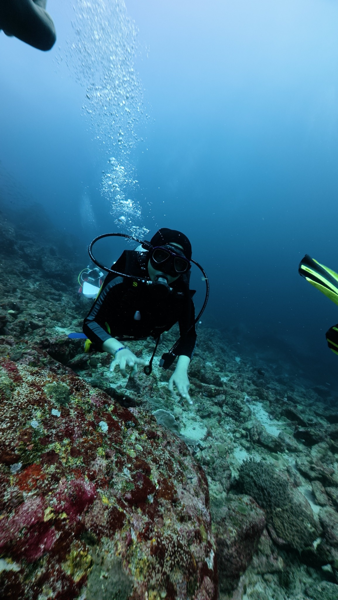 Discover Scuba Diving