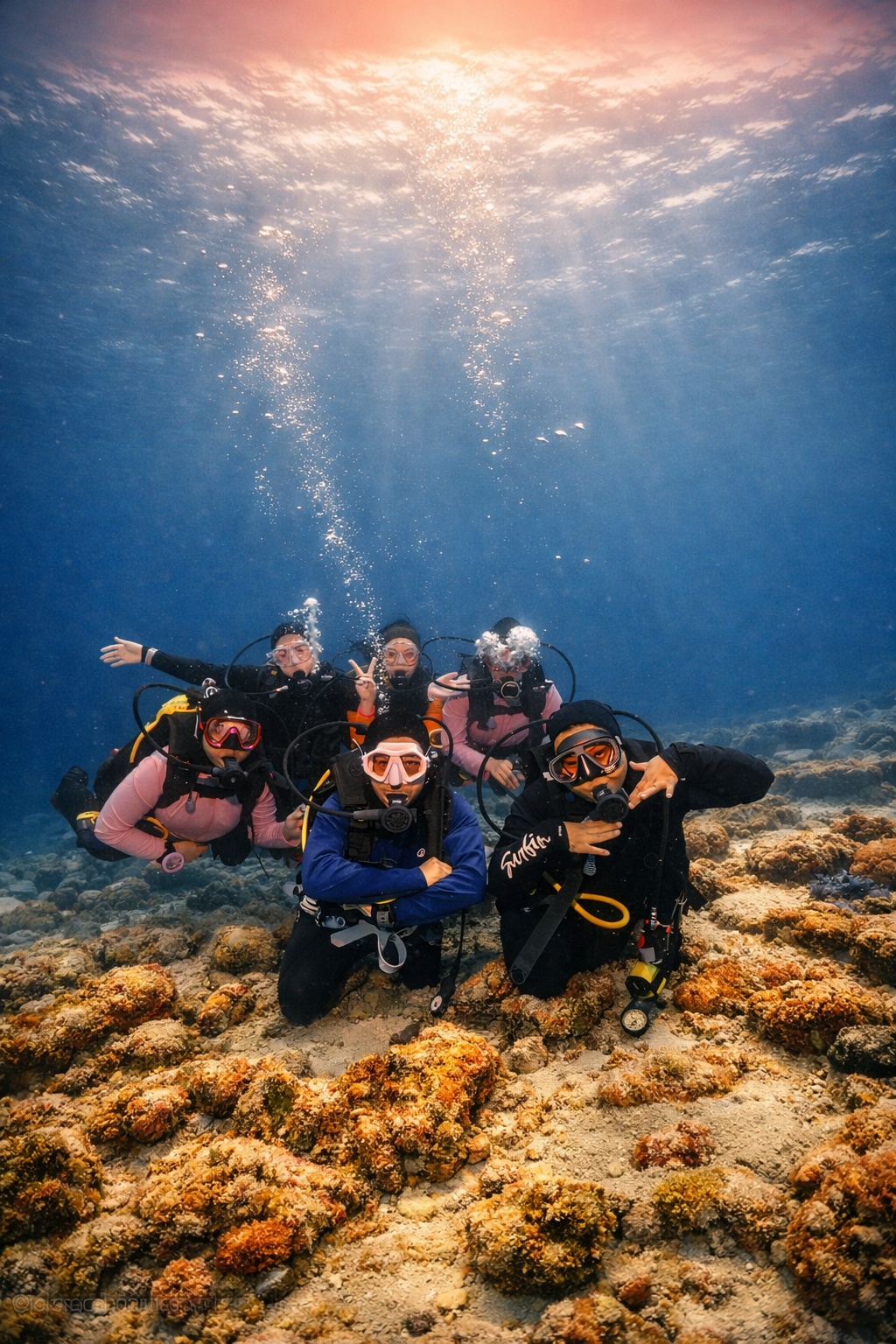 Fun Diving